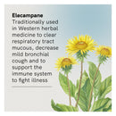 Fusion Health Cough Lung Tonic — Elecampane herb illustration and benefits