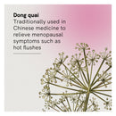 Fusion Health Menopause Heat Relief 60 Vege Capsules-3